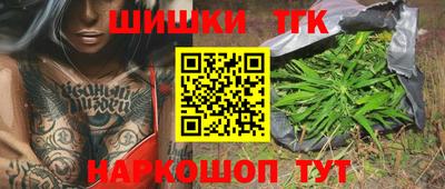 молекула духа Пугачёв