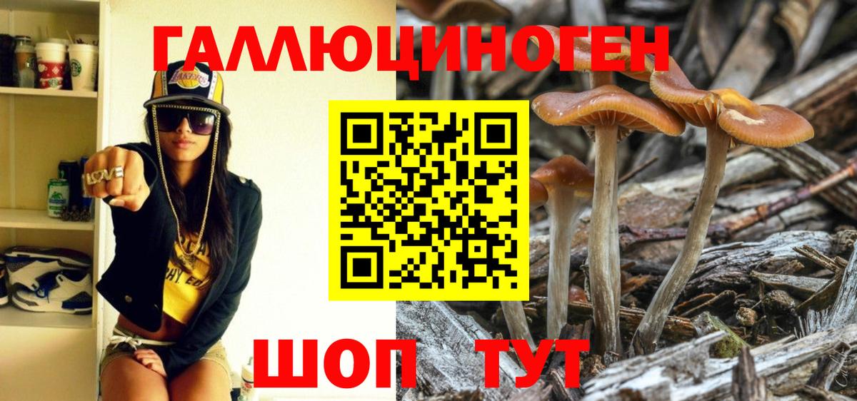 Псилоцибиновые грибы ЛСД Семёнов